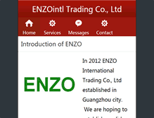 Tablet Screenshot of enzointl.com